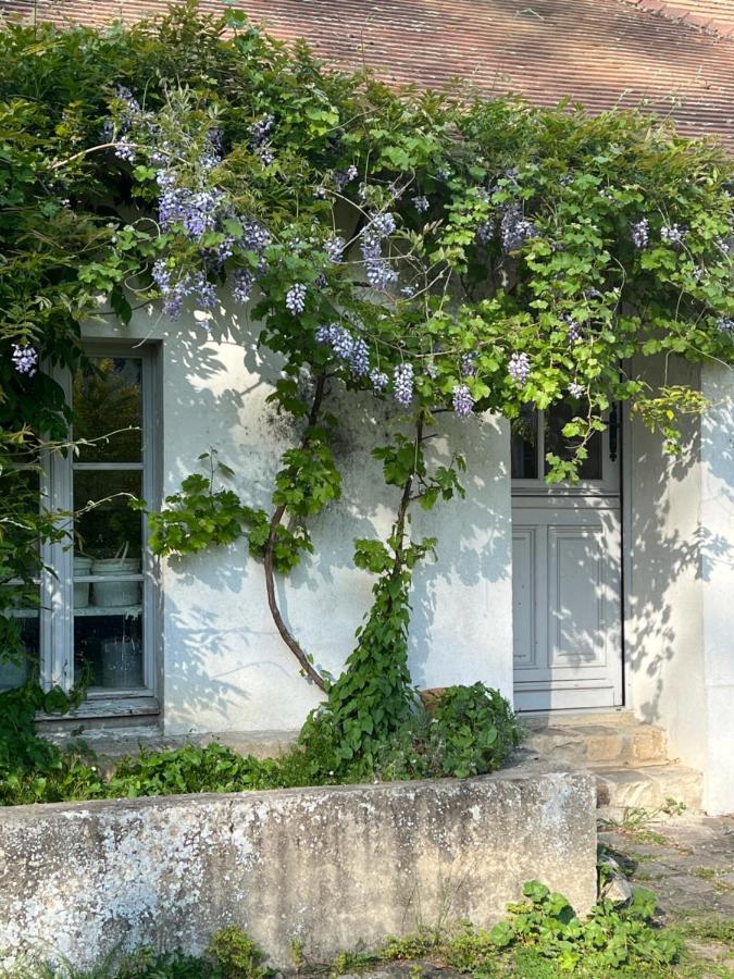 Les Ecuries Du Chateau Boissy-Saint-Léger Exterior foto